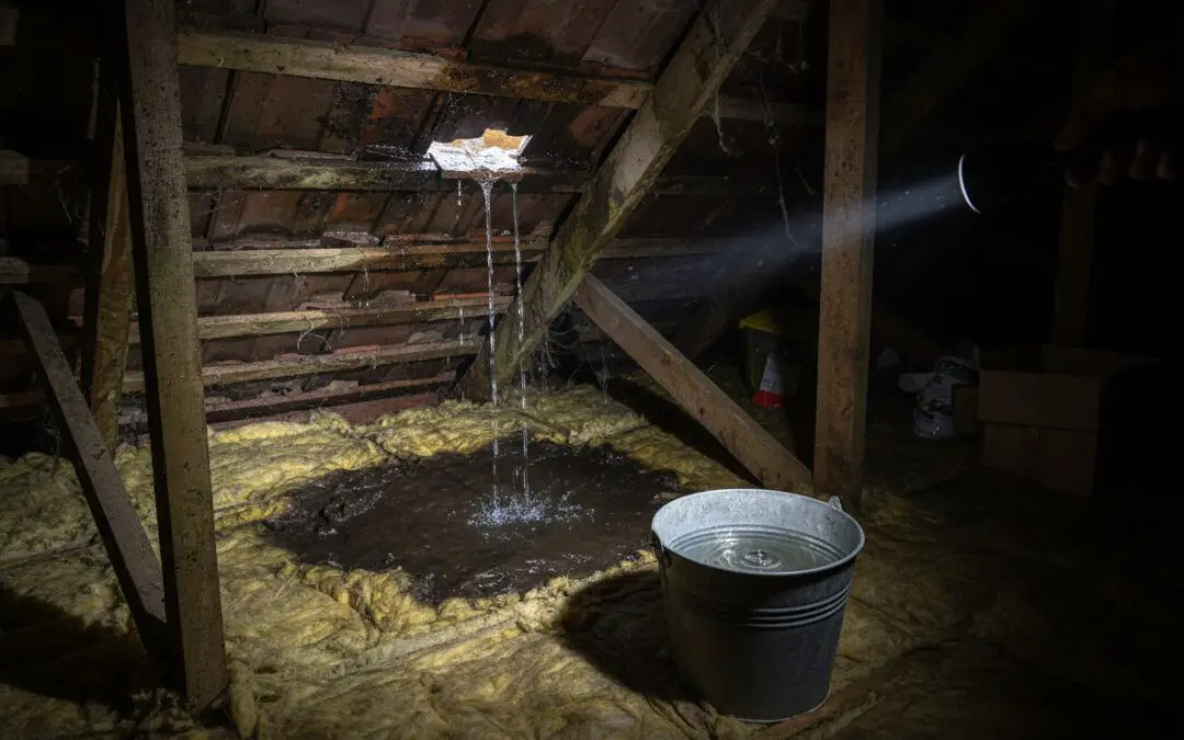 What to Do When Your Roof Is Leaking: A Step-by-Step Guide for Sheffield Homeowners
